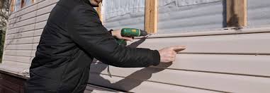 Best Vinyl Siding Installation  in Bad Axe, MI